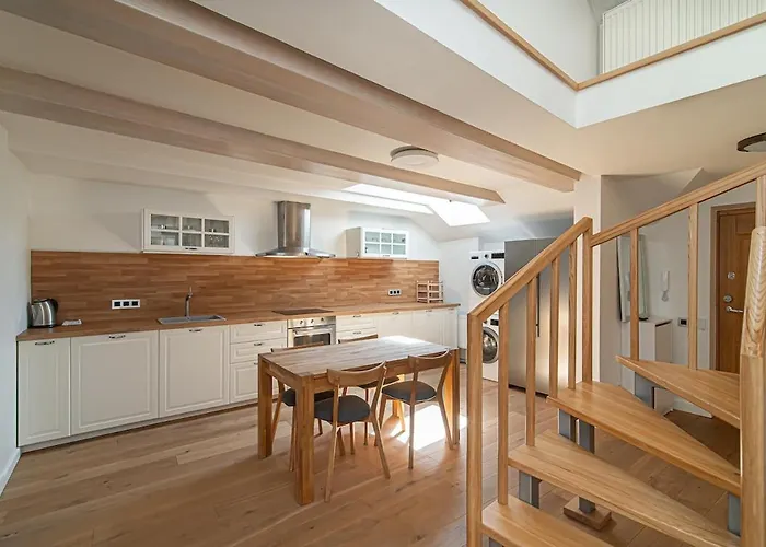 Spacious 3 Bdr In Old Town アパート ヴィリニュス