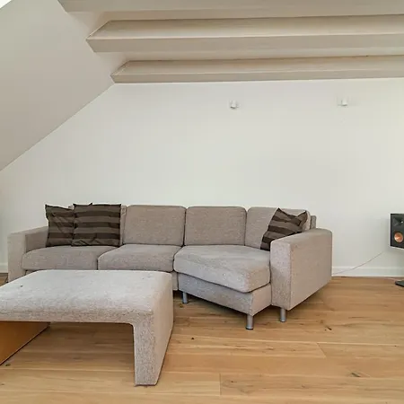 Spacious 3 Bdr In Old Town Vilnius