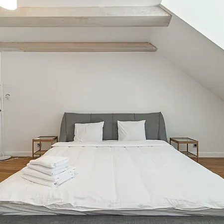 Spacious 3 Bdr In Old Town *